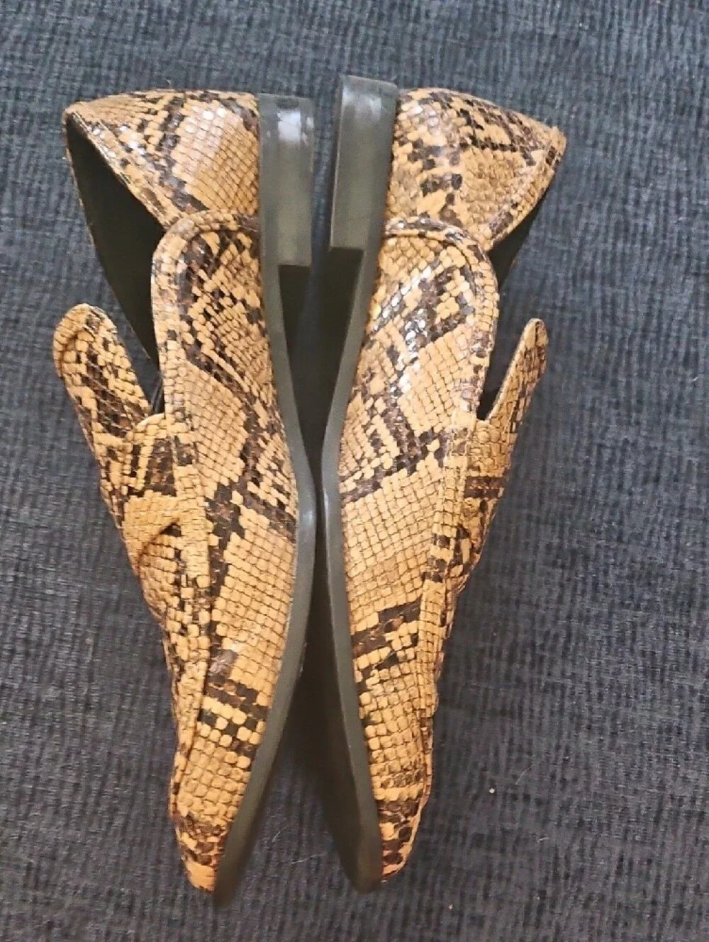 Snake-Print Pointed Toe Loafers - Brown